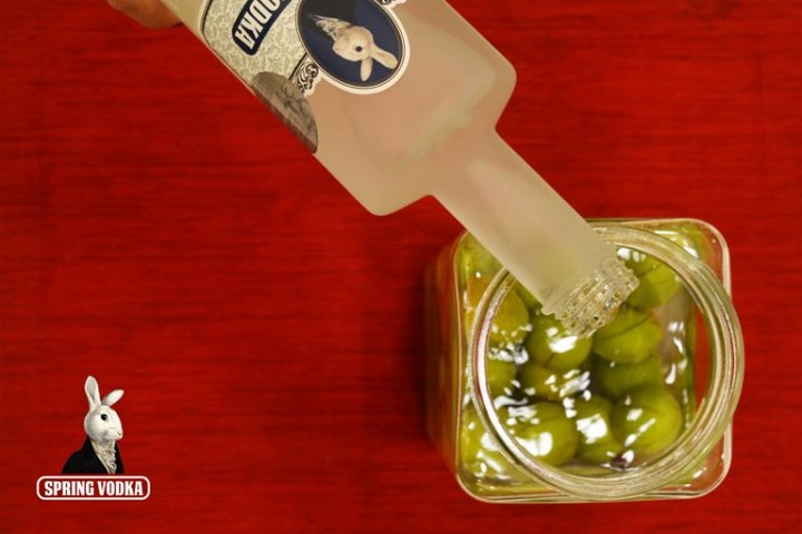 Spring Vodka 伏特加釀酒酒譜:梅子酒 精選圖集紀錄 (6)